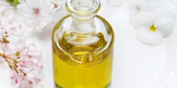 Exploring the Synergy Between Health and Wellness: Key Strategies for a Balanced Life