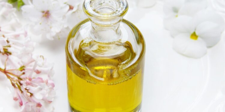 Exploring the Synergy Between Health and Wellness: Key Strategies for a Balanced Life