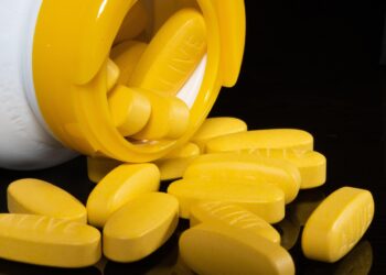 Exploring the Connection Between Health and Wellness: A Guide to Empowered Living