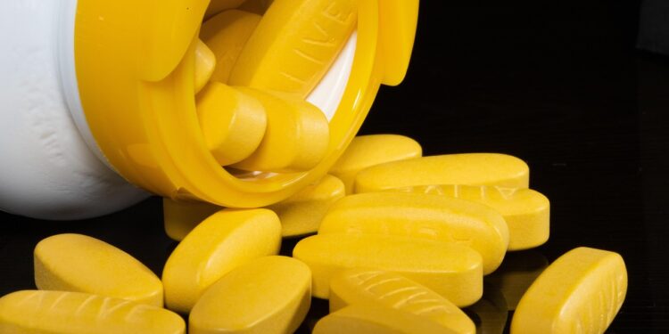 Exploring the Connection Between Health and Wellness: A Guide to Empowered Living